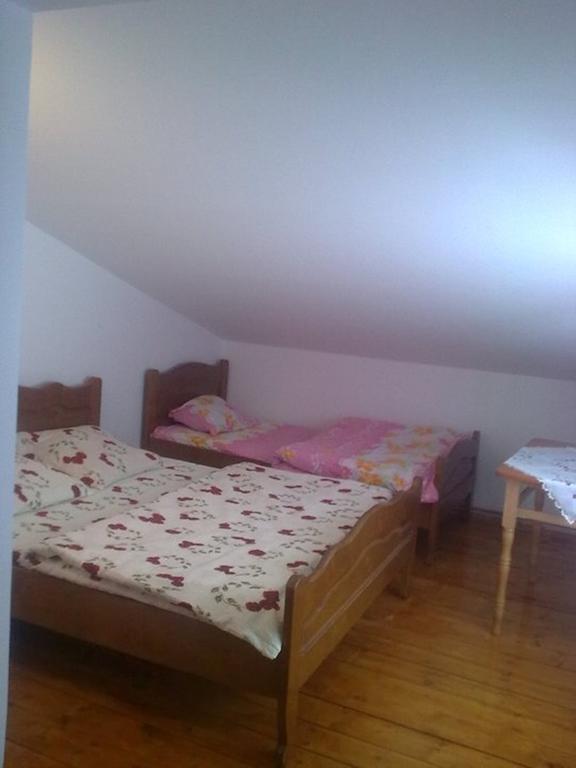 Pensiunea Scarisoara Ghetari Номер фото